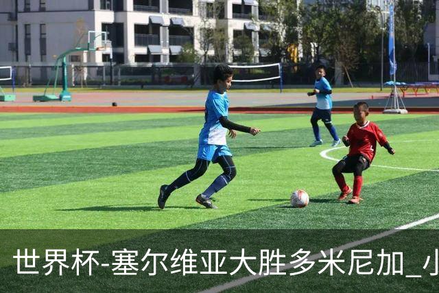 世界杯-塞尔维亚大胜多米尼加 小组第二进八强