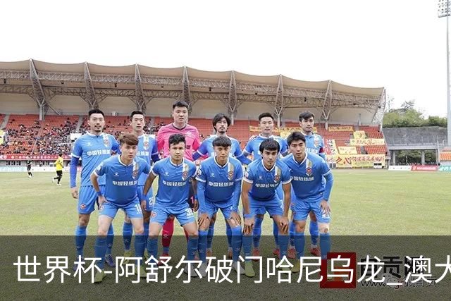 世界杯-阿舒尔破门哈尼乌龙 澳大利亚1-1埃及进加时