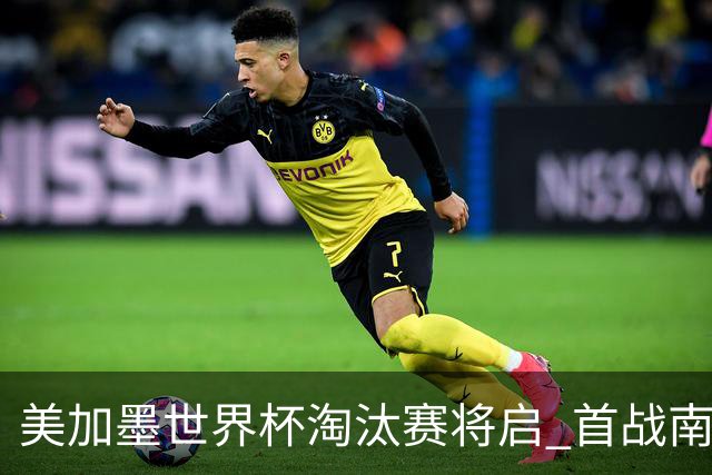 美加墨世界杯淘汰赛将启 首战南非对阵加拿大